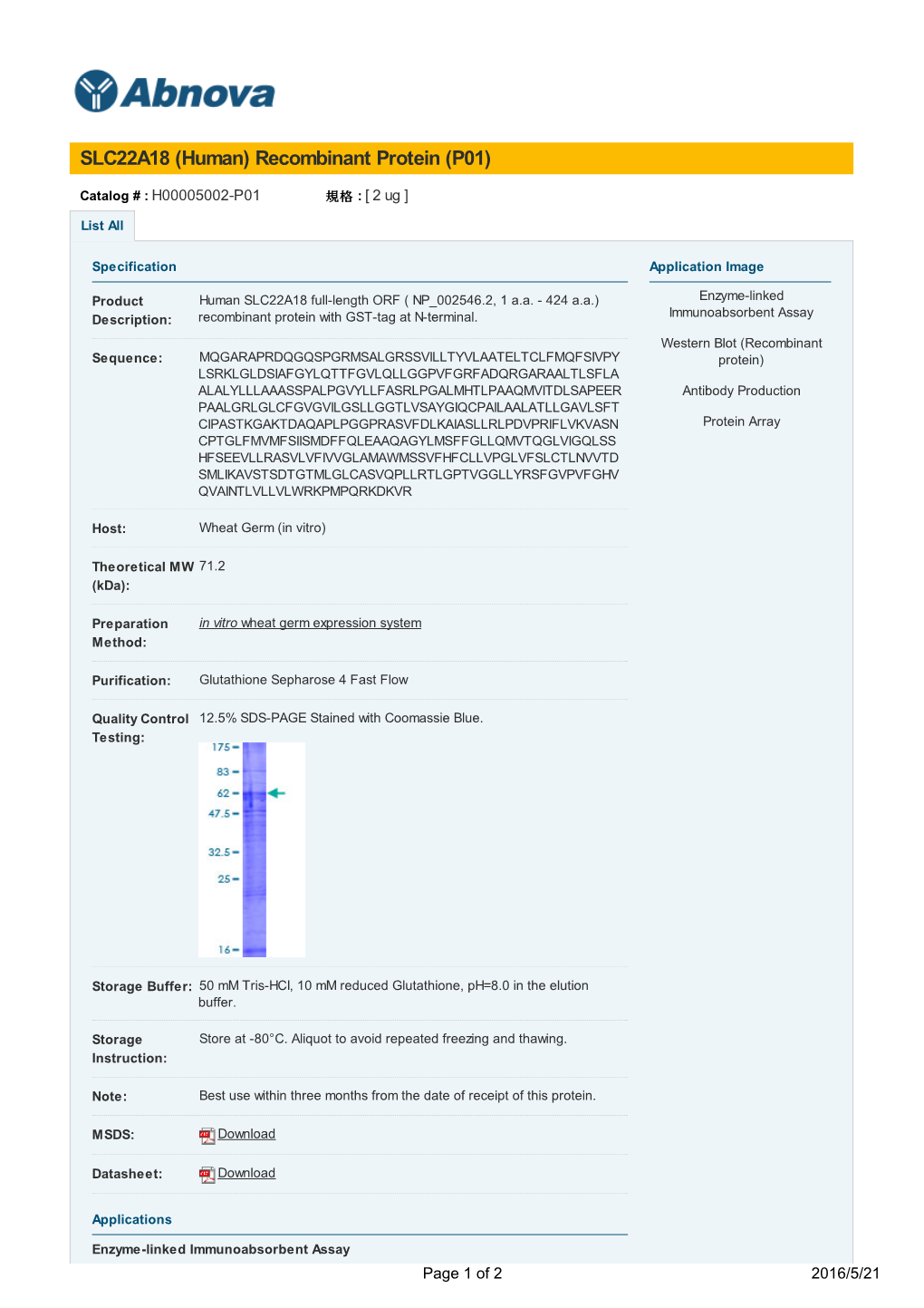 SLC22A18 (Human) Recombinant Protein (P01)