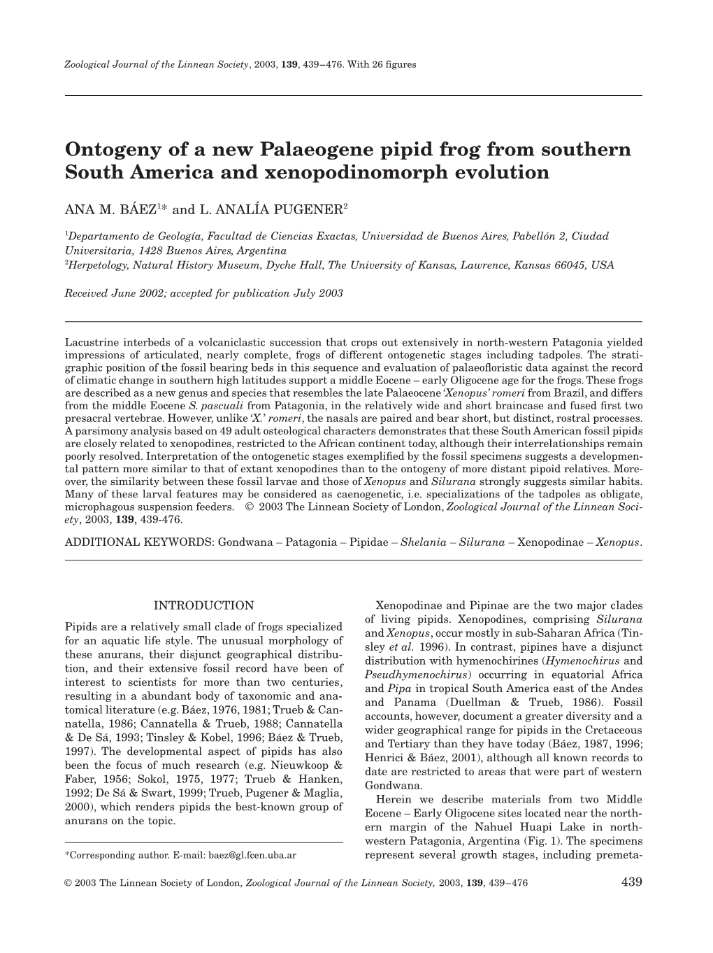 Ontogeny of a New Palaeogene Pipid Frog from Southern South America and Xenopodinomorph Evolution