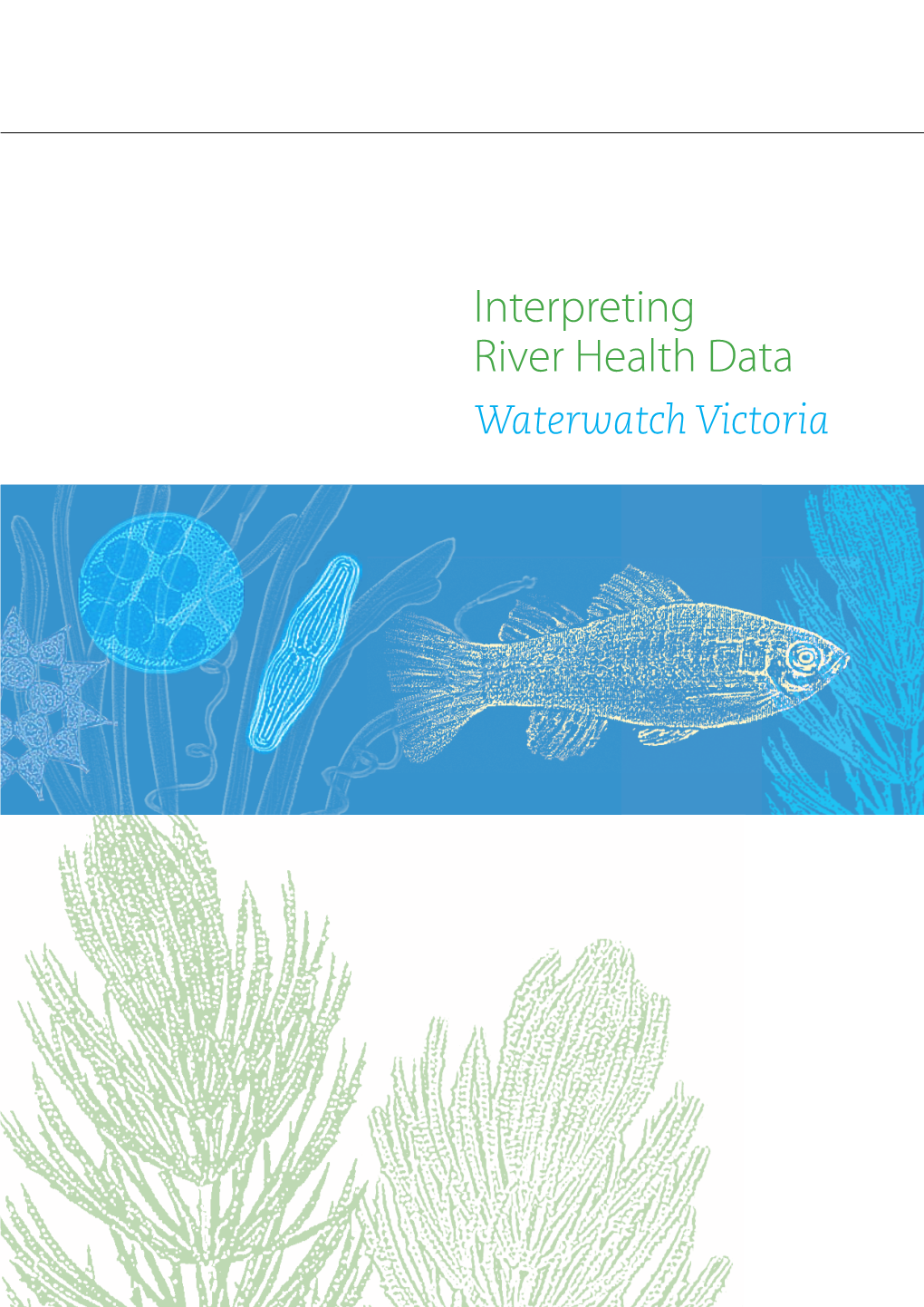 Interpreting River Health Data Waterwatch Victoria FOREWORD