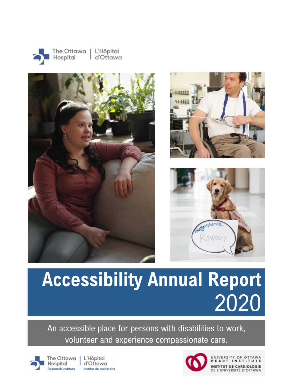 Annual Report on Accessibility 2020