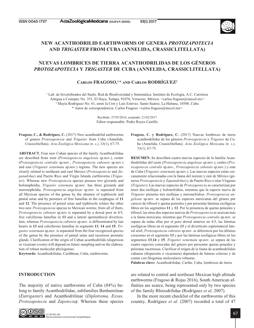 New Acanthodrilid Earthworms of Genera Protozapotecia and Trigaster from Cuba (Annelida, Crassiclitellata)