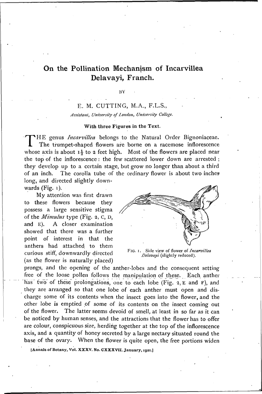 On the Pollination Mechanism of Incarvillea Delavayi, Franch