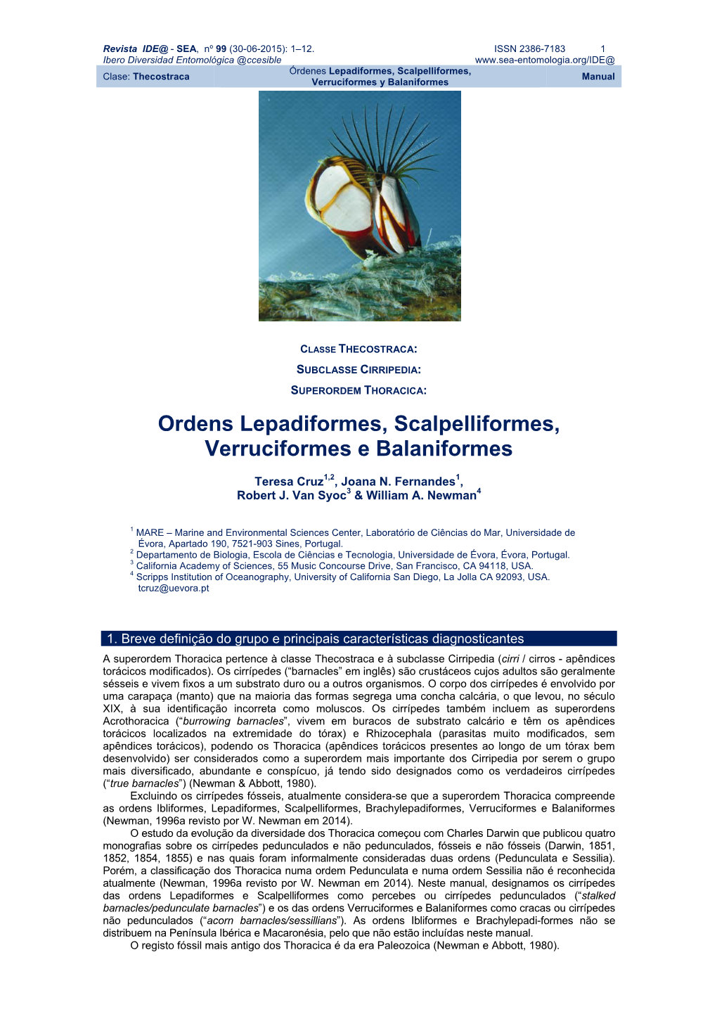 Ordens Lepadiformes, Scalpelliformes, Verruciformes E Balaniformes