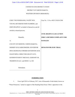 44 Amended Complaint