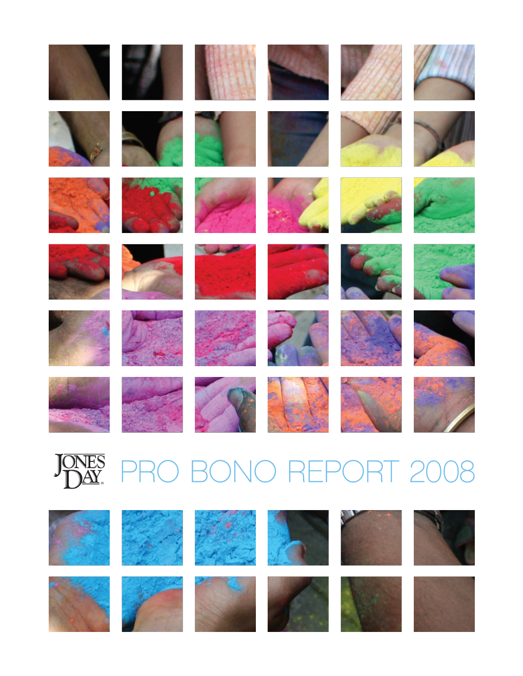 Pro Bono Report 2008 Contents