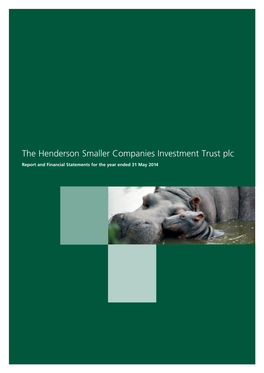 The Henderson Smaller Companies Investment Trust Plc – Report and Financial Statements for The