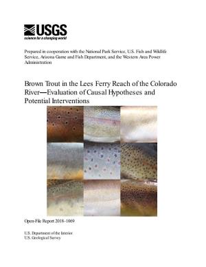 Brown Trout in the Lees Ferry Reach of the Colorado River—Evaluation of Causal Hypotheses and Potential Interventions