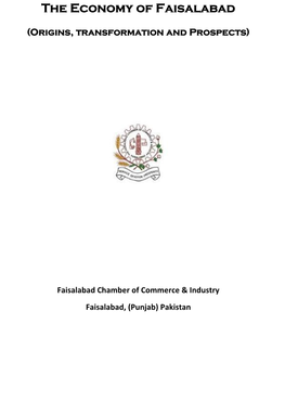 The Economy of Faisalabad