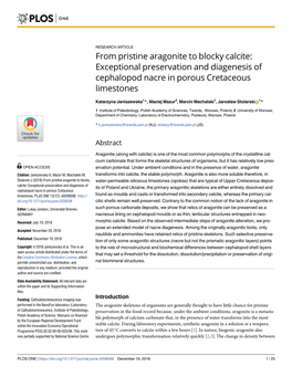 From Pristine Aragonite to Blocky Calcite: Exceptional Preservation and Diagenesis of Cephalopod Nacre in Porous Cretaceous Limestones
