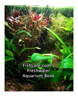 Download Fishlore.Com's Freshwater Aquarium E-Book