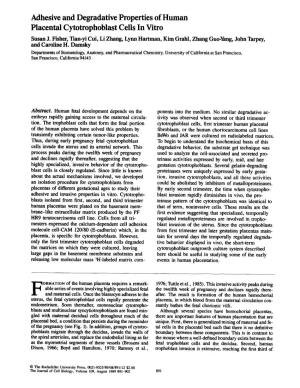 Adhesive and Degradative Properties of Human Placental Cytotrophoblast Cells in Vitro Susan J