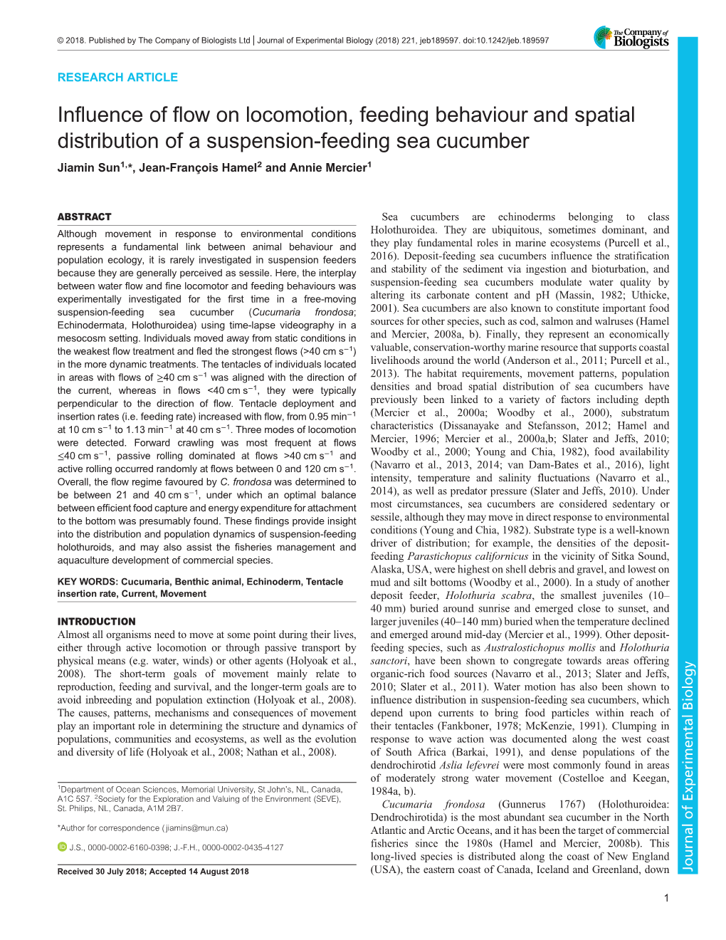 Influence of Flow on Locomotion, Feeding Behaviour and Spatial