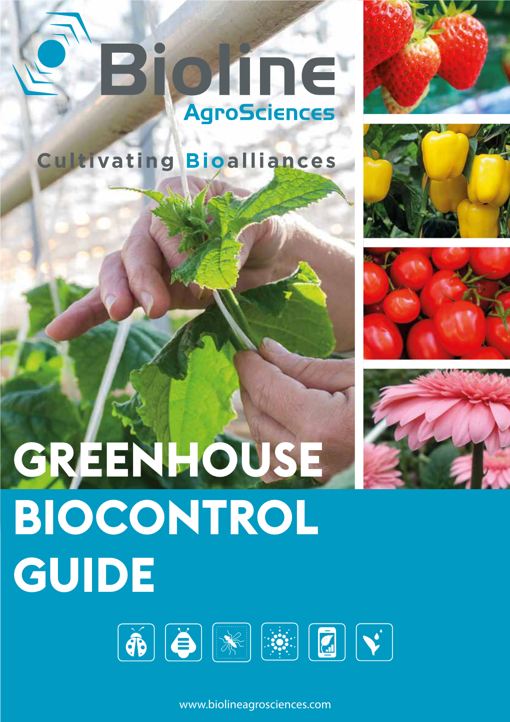 Greenhouse Biocontrol Guide