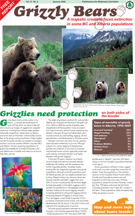 Grizzly Bears a Majestic Creature Faces Extinction in Some BC and Alberta Populations