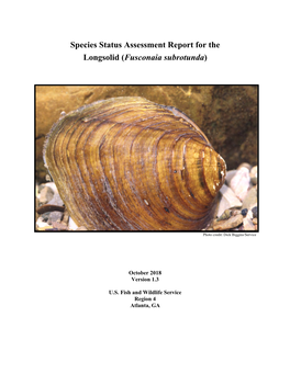 Species Status Assessment Report for the Longsolid (Fusconaia Subrotunda)