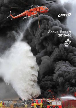 MFB Annual Report 2015-2016