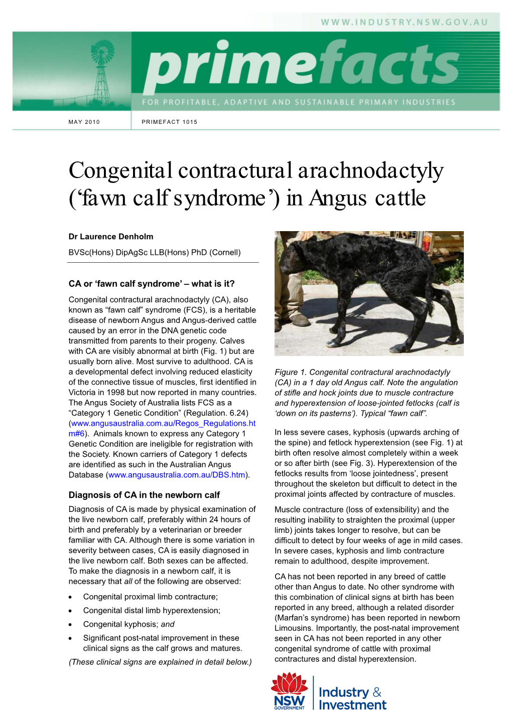 Congenital Contractural Arachnodactyly (‘Fawn Calf Syndrome’) in Angus Cattle