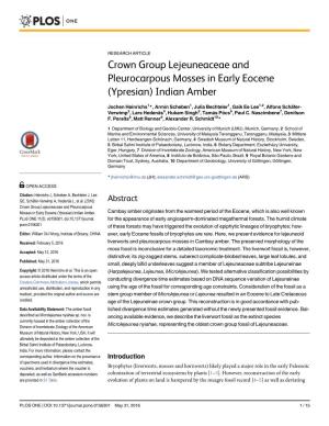 Crown Group Lejeuneaceae and Pleurocarpous Mosses in Early Eocene (Ypresian) Indian Amber