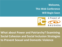 Examining Social Cohesion and Social Inclusion Strategies to Prevent Sexual and Domes&C Violence
