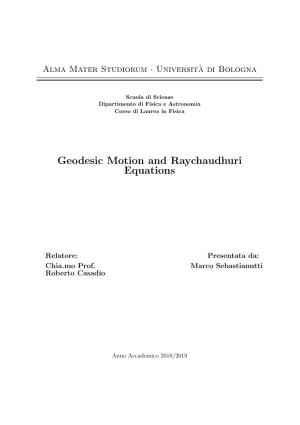 Geodesic Motion and Raychaudhuri Equations