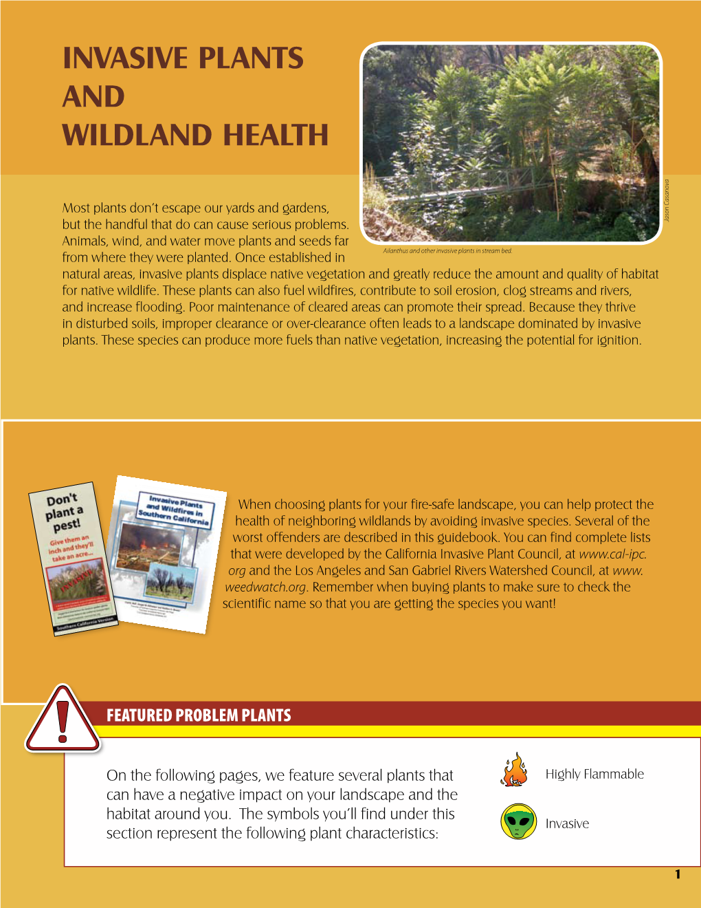 Invasive Plants and Wildland Health