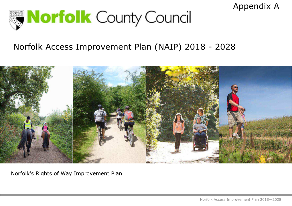 Appendix a Norfolk Access Improvement Plan