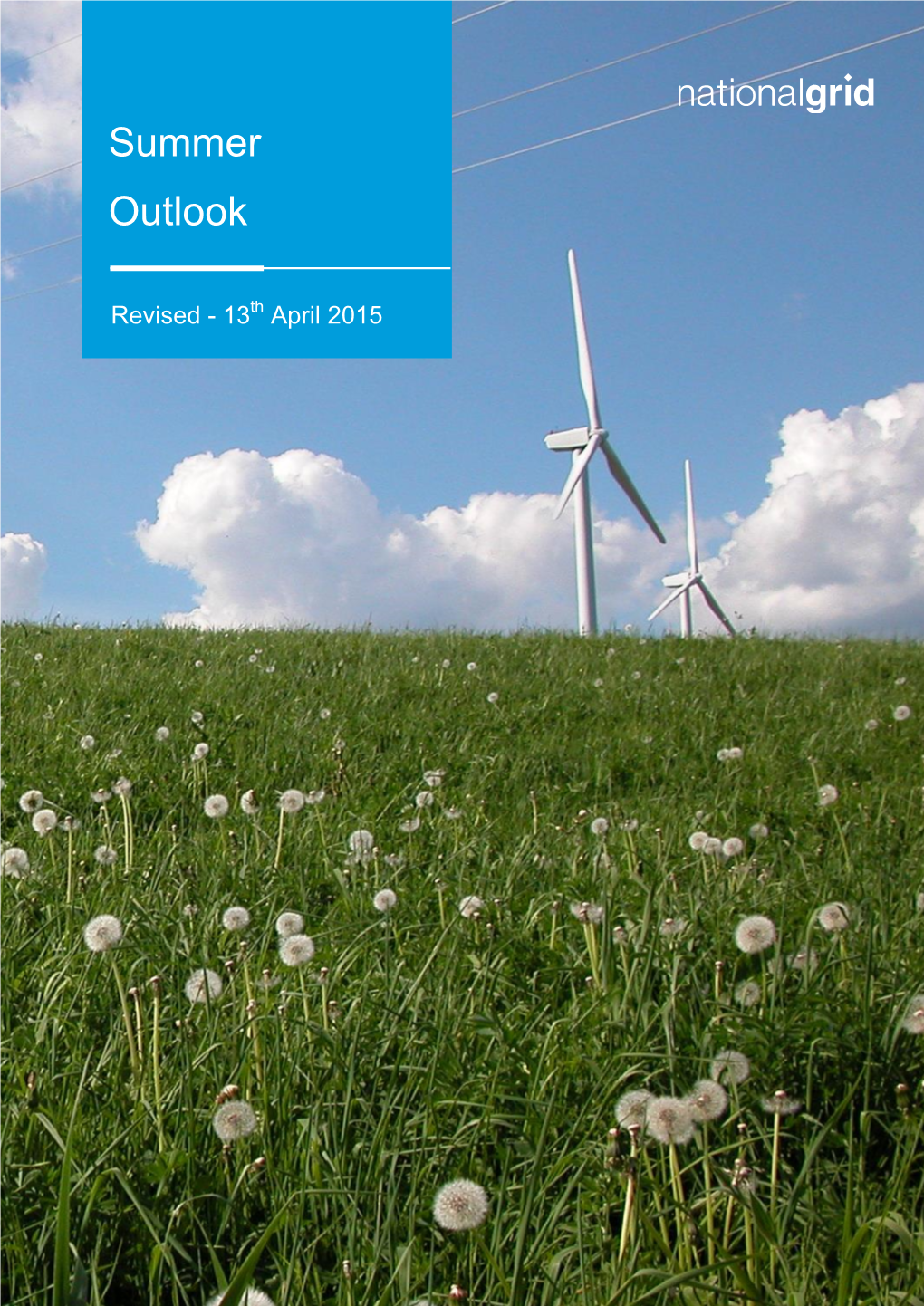 2015 Summer Outlook Report