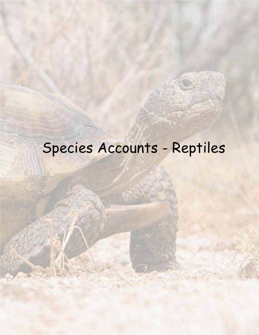 California Rare & Endangered Reptiles