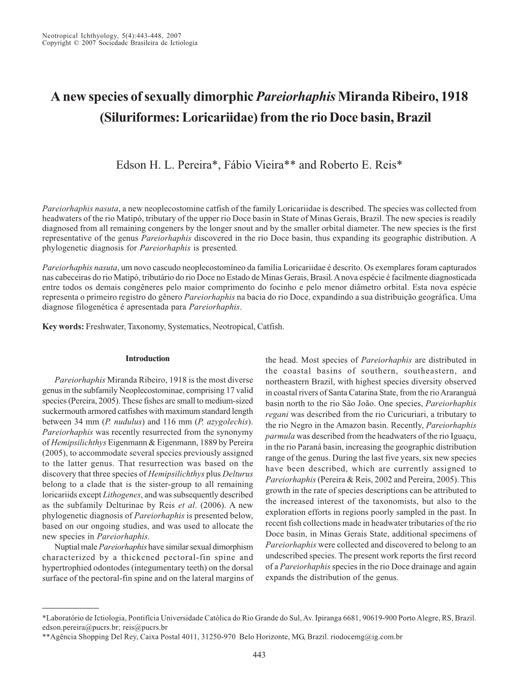 A New Species of Sexually Dimorphic Pareiorhaphismiranda Ribeiro, 1918 (Siluriformes: Loricariidae) from the Rio Doce Basin