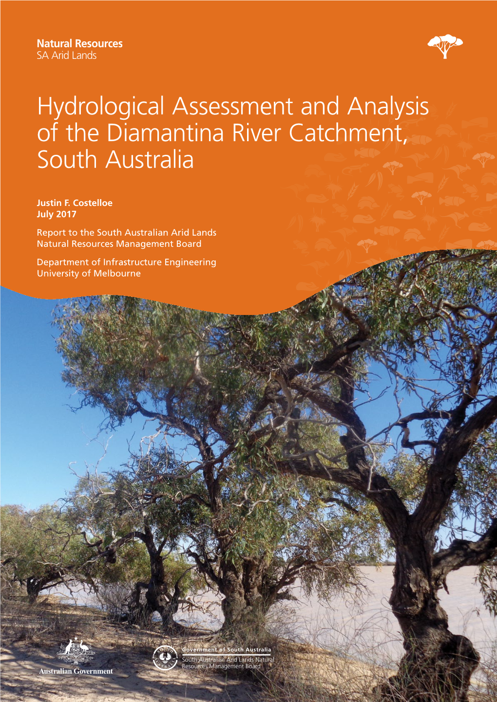 Hydrological Assessment and Analysis of the Diamantina River Catchment, South Australia