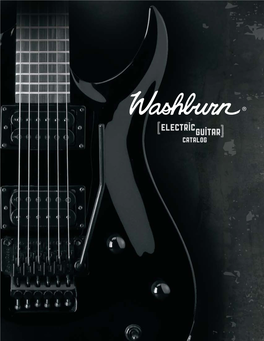 2010 – 2011 Washburn Electric Catalog