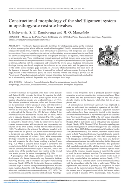 Constructional Morphology of the Shell/Ligament System in Opisthogyrate Rostrate Bivalves J