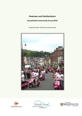 Newtown and Llanllwchaiarn. This Report Provides a Summary of the Findings