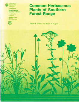 Common Herbaceous Plants of Southern Forest Range