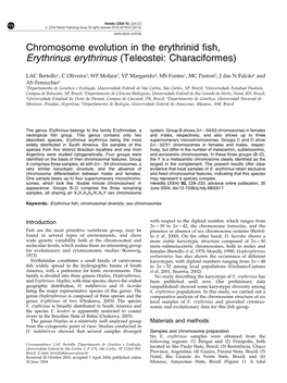 Chromosome Evolution in the Erythrinid Fish, Erythrinus