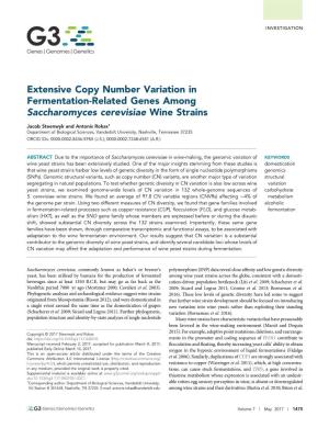 Extensive Copy Number Variation in Fermentation-Related Genes Among Saccharomyces Cerevisiae Wine Strains