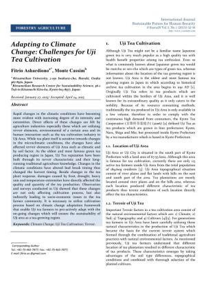 Adapting to Climate Change: Challenges for Uji Tea Cultivation
