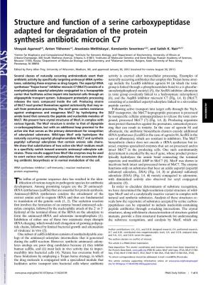 Structure and Function of a Serine Carboxypeptidase Adapted for Degradation of the Protein Synthesis Antibiotic Microcin C7