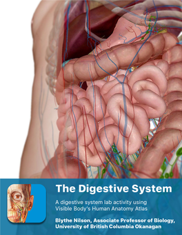 Mouth Esophagus Colon Small Intestine Stomach Pharynx Rectum