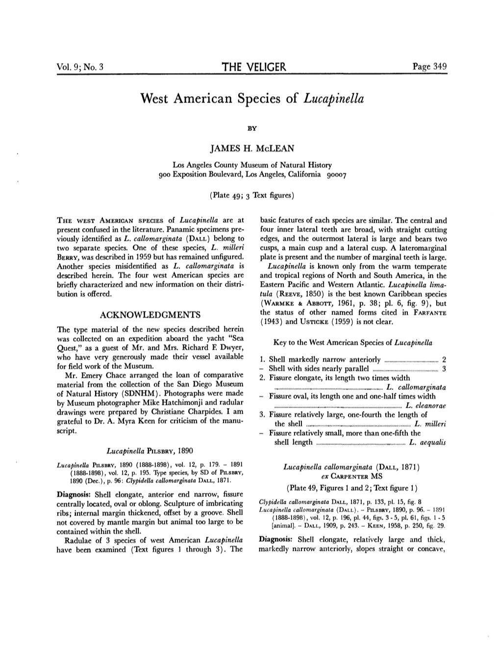 West American Species of Lucapinella