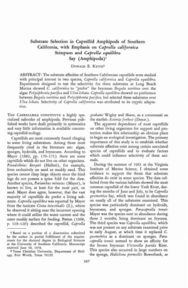 Substrate Selection in Caprellid Amphipods of Southern California, with Emphasis on Caprella Californica Stimpson and Caprella Equilibra Say (Amphipoda) !