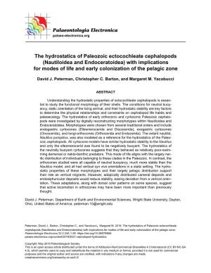The Hydrostatics of Paleozoic Ectocochleate Cephalopods