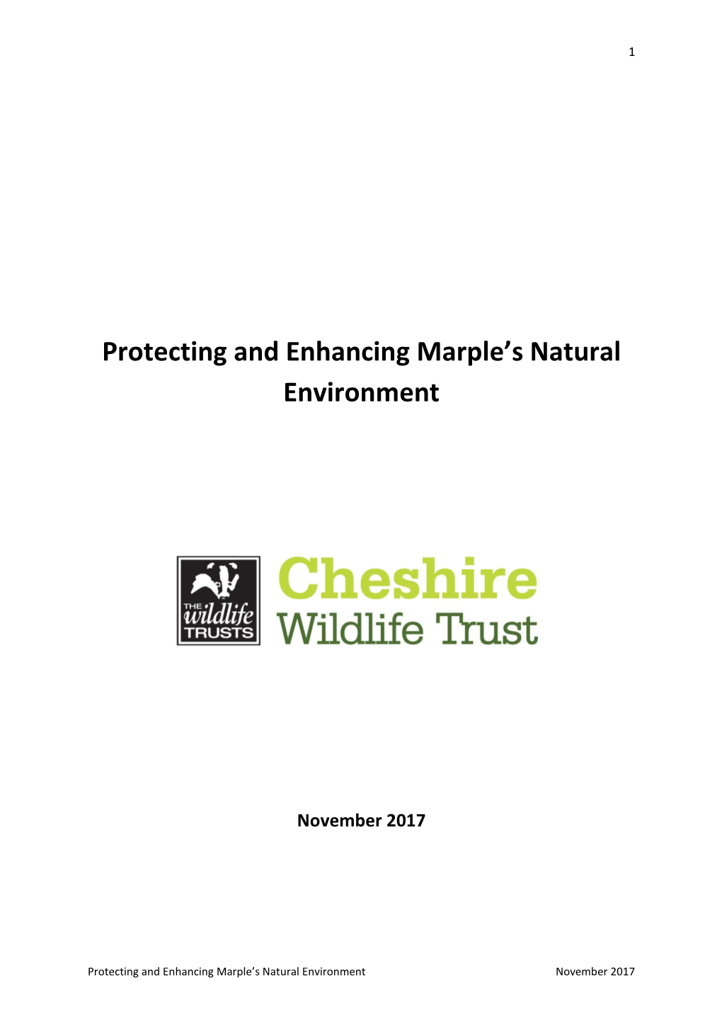 Protecting and Enhancing Marple's Natural Environment