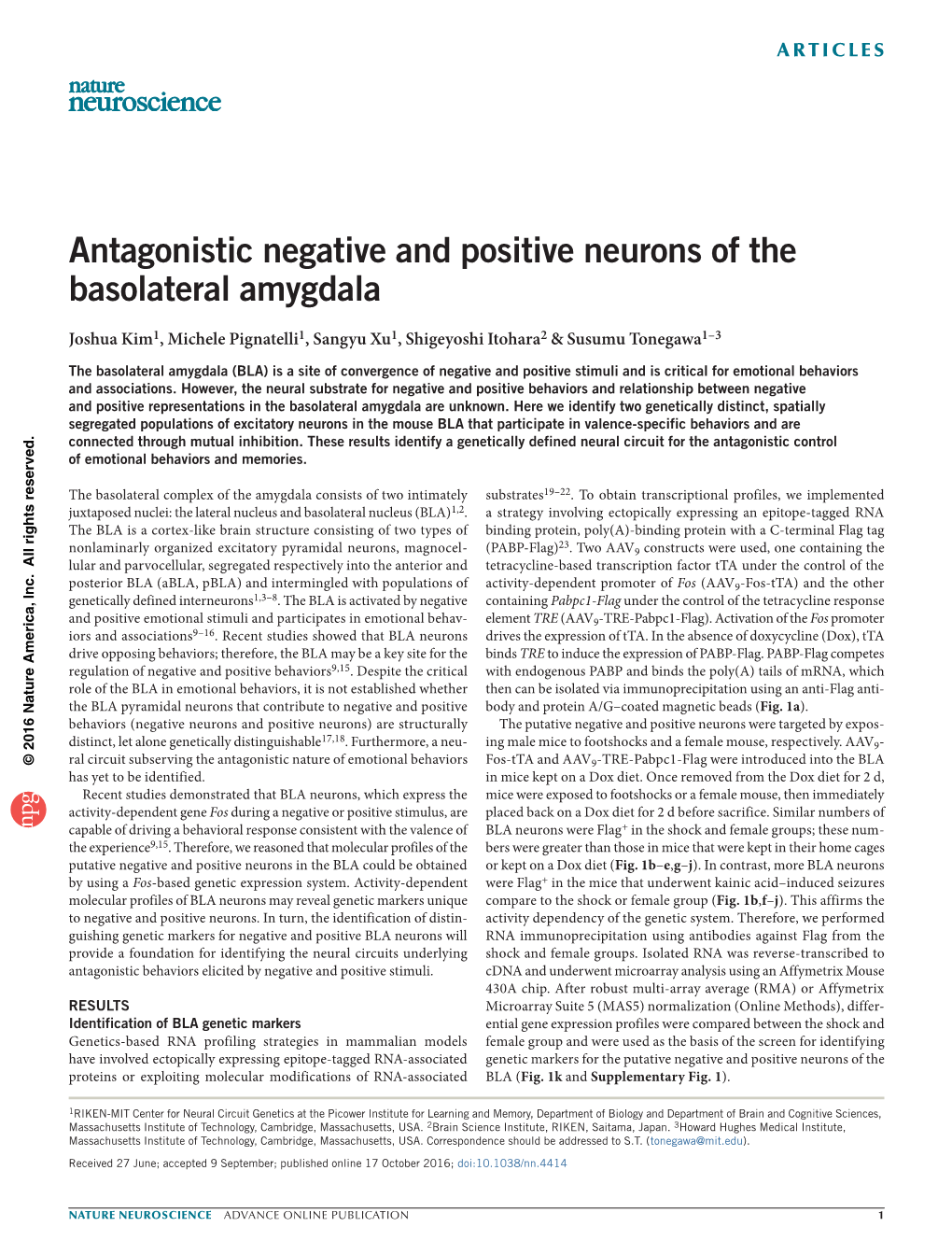 Antagonistic Negative and Positive Neurons of the Basolateral Amygdala