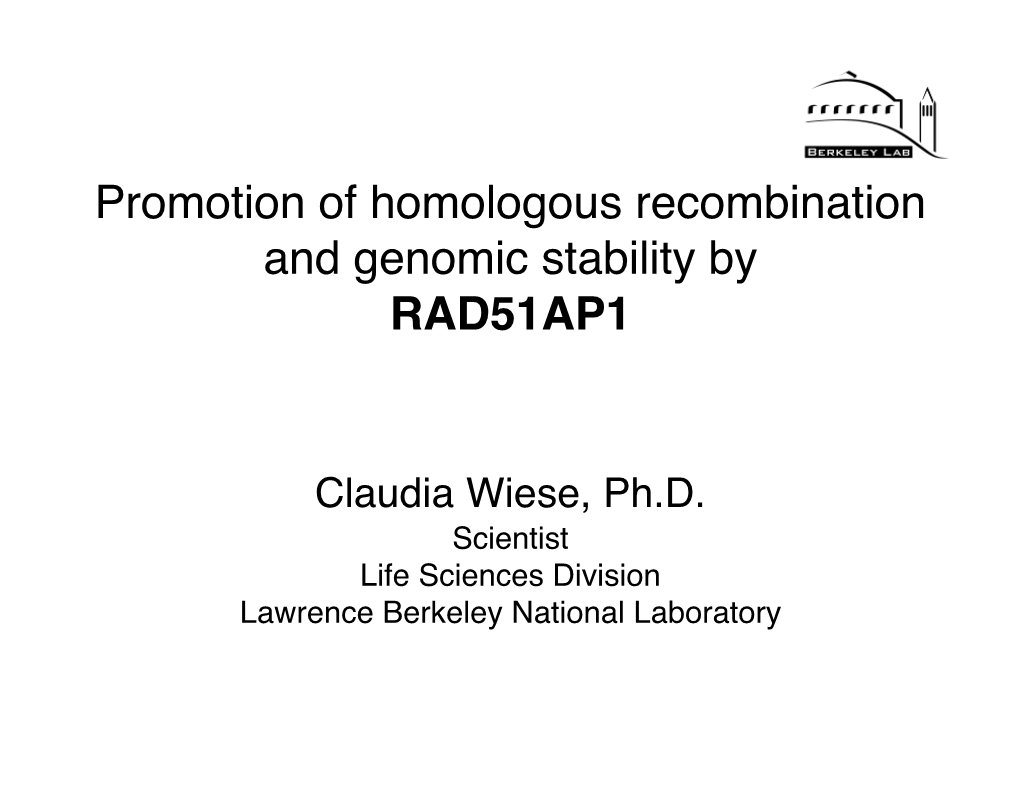 Promotion of Homologous Recombination and Genomic Stability by RAD51AP1