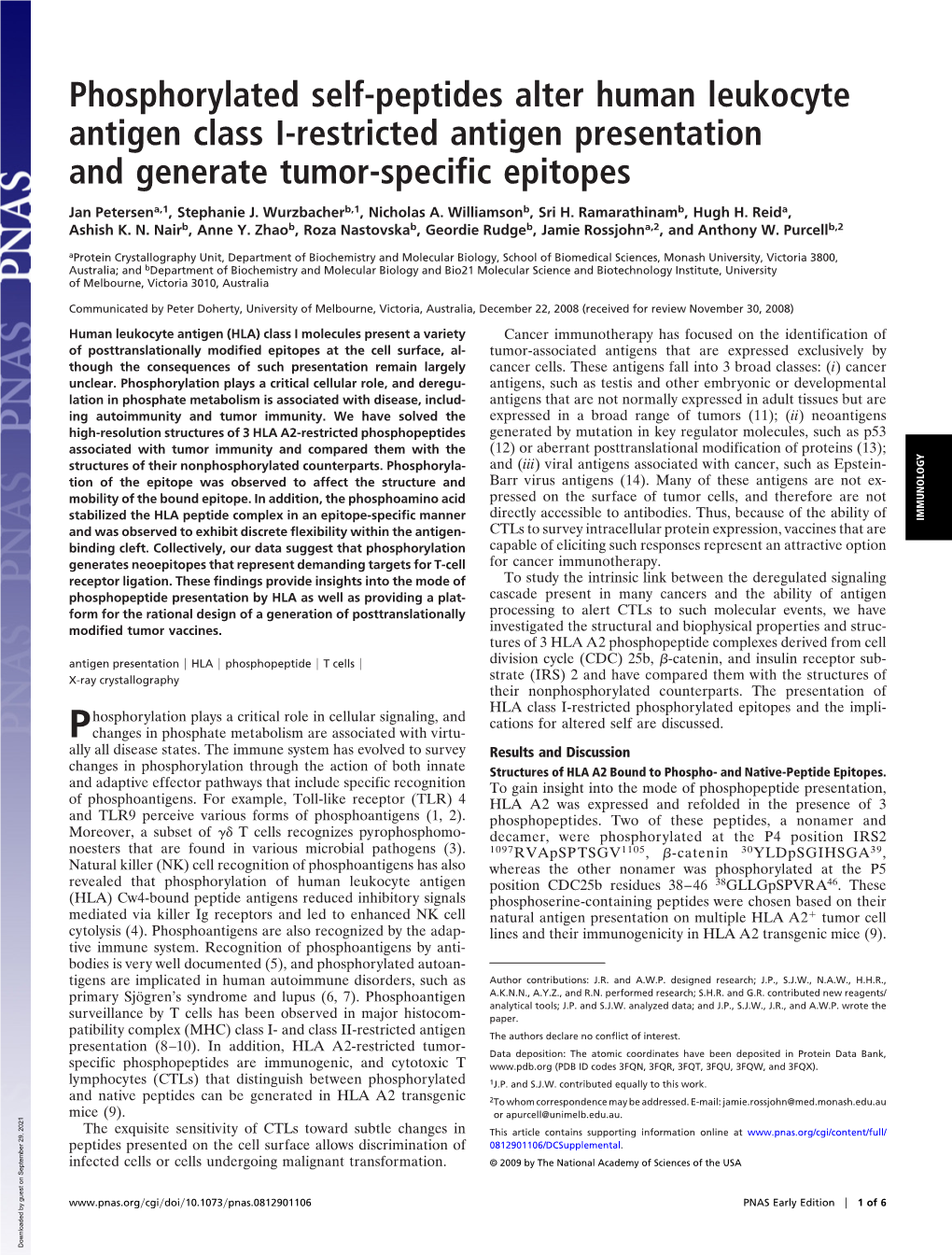 Phosphorylated Self-Peptides Alter Human Leukocyte Antigen Class I-Restricted Antigen Presentation and Generate Tumor-Specific Epitopes