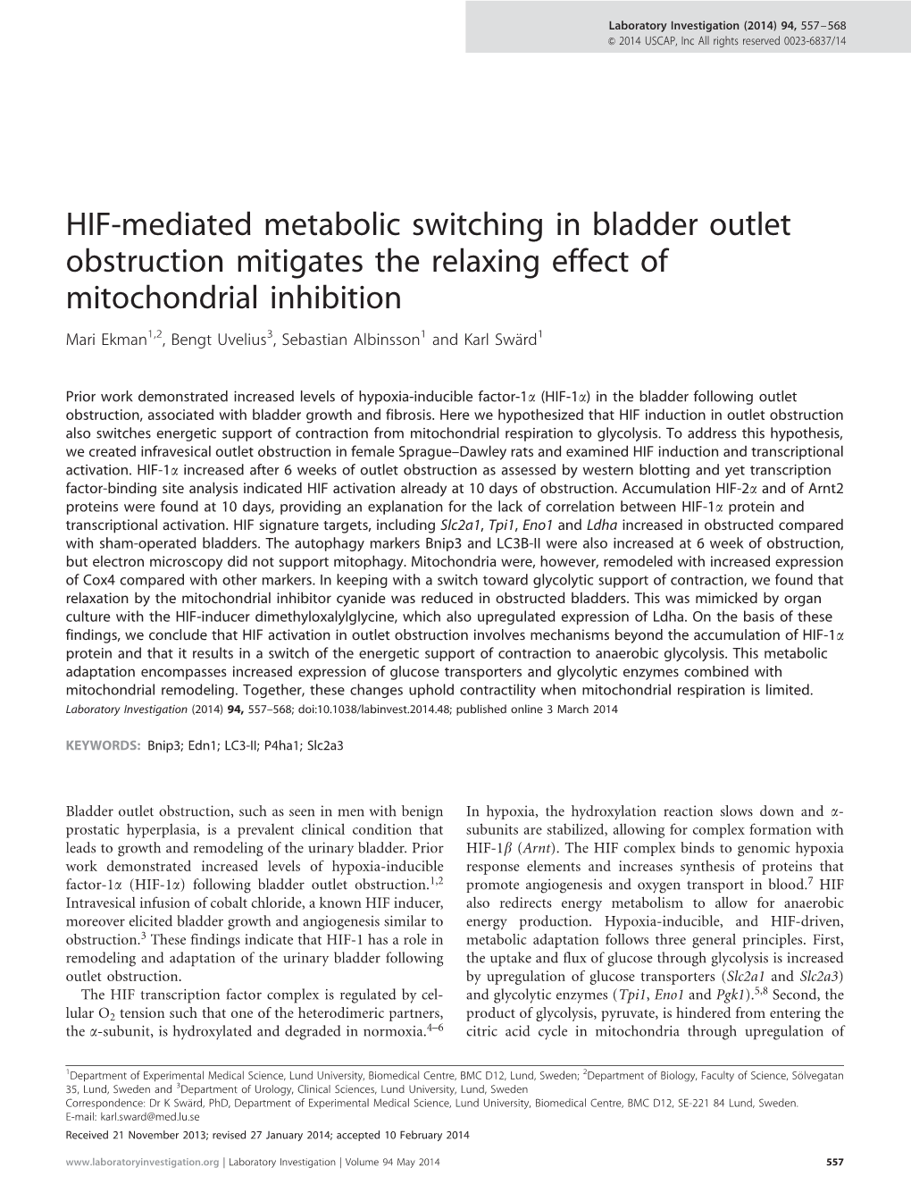 HIF-Mediated Metabolic Switching in Bladder Outlet Obstruction Mitigates the Relaxing Effect of Mitochondrial Inhibition