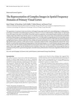 The Representation of Complex Images in Spatial Frequency Domains of Primary Visual Cortex