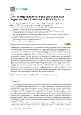 Dark Septate Endophytic Fungi Associated with Sugarcane Plants Cultivated in São Paulo, Brazil