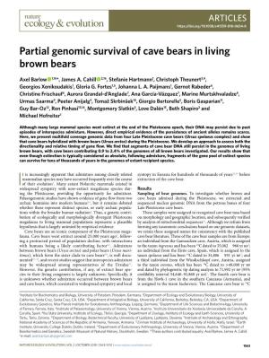 Partial Genomic Survival of Cave Bears in Living Brown Bears
